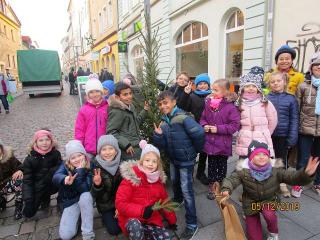 Weihnachtsbaumaktion