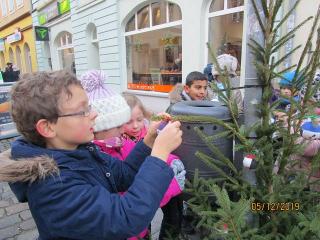 Weihnachtsbaumaktion